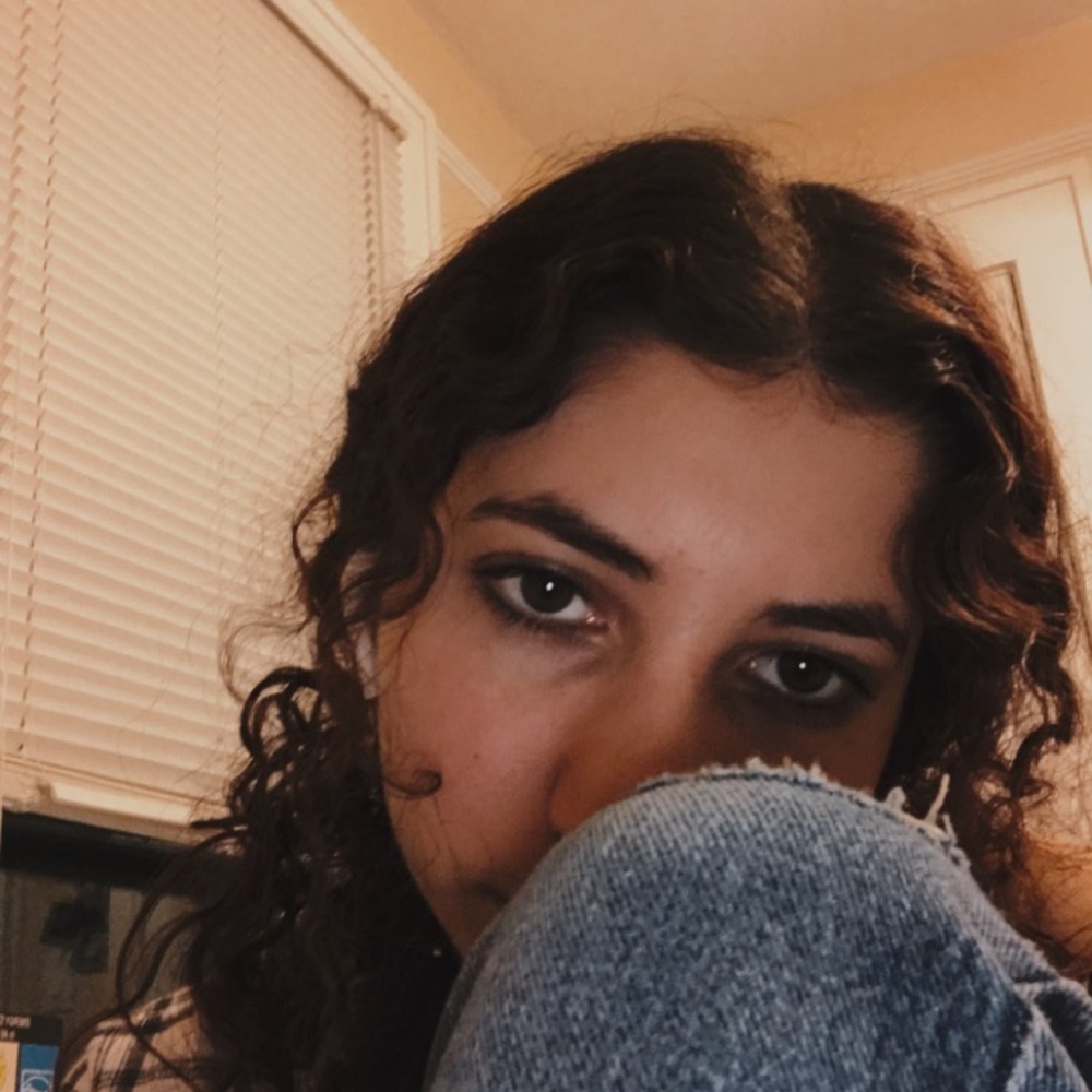 Meet your Posher, Zahava